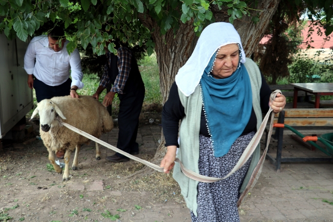 Bayram ikramiyesiyle aldığı kurbanı Cumhurbaşkanı Erdoğan kazanınca kesti